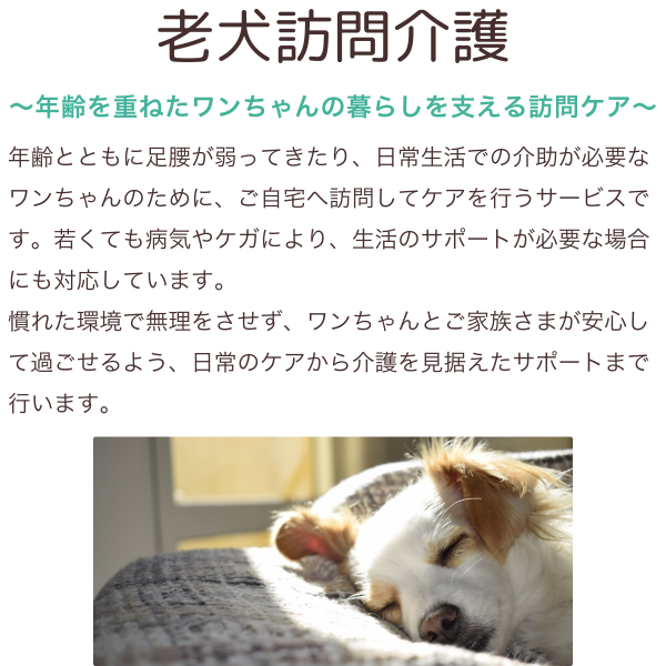 ペットケアサポート (1200 x 500 px) (1200 x 600 px) (1200 x 2000 px) (1200 x 1430 px) (2)