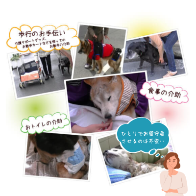 料金表（スマホ） (5)