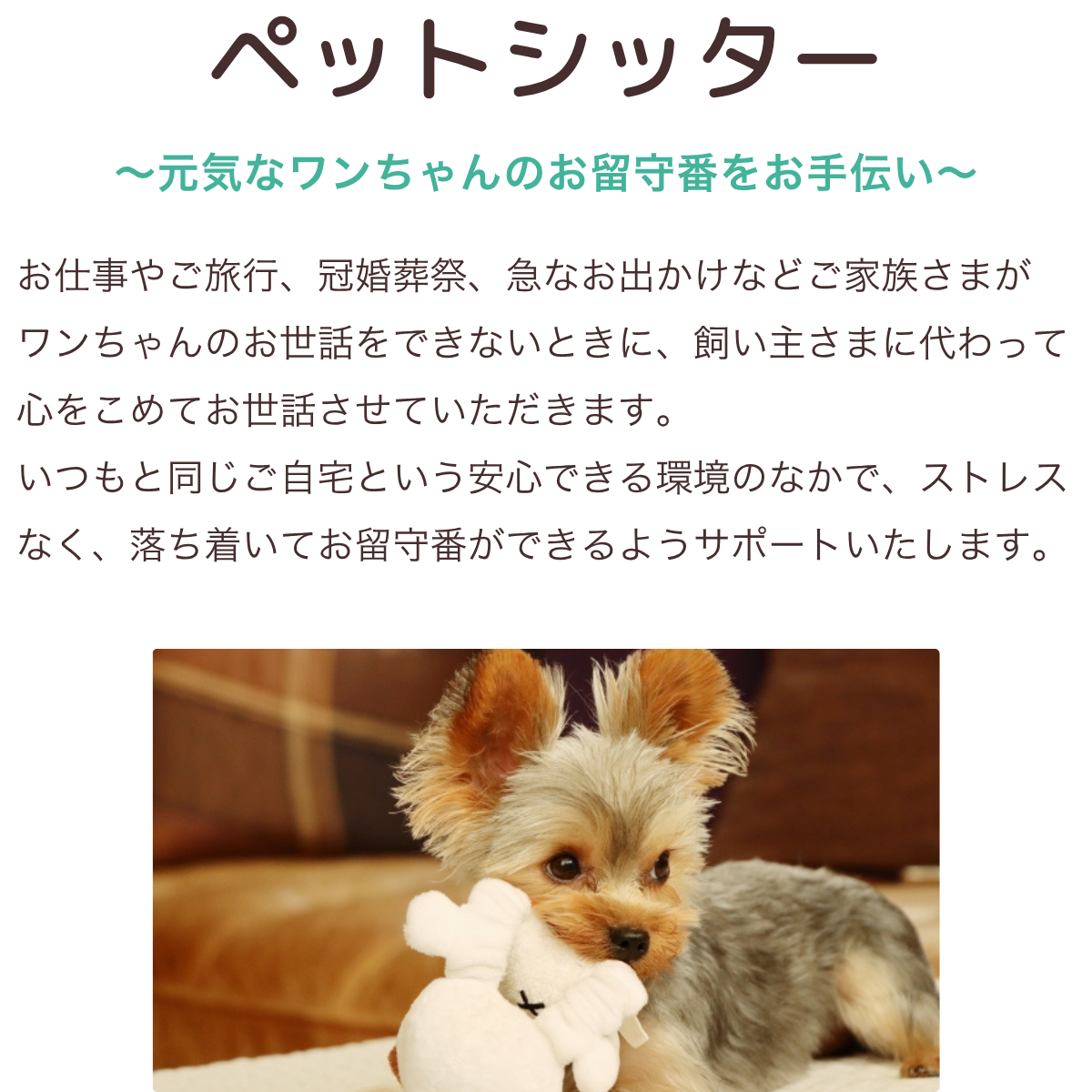 ペットケアサポート (1200 x 500 px) (1200 x 600 px) (1200 x 2000 px) (1200 x 1430 px) (1)