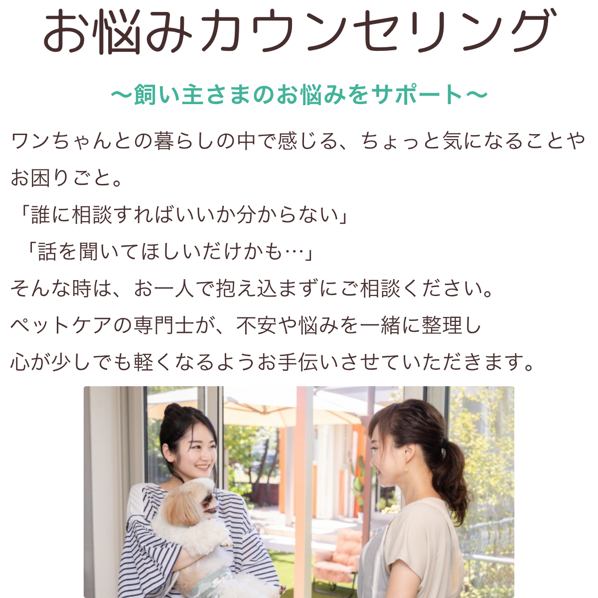 ペットケアサポート (1200 x 500 px) (1200 x 600 px) (1200 x 2000 px) (1200 x 1430 px) (2)